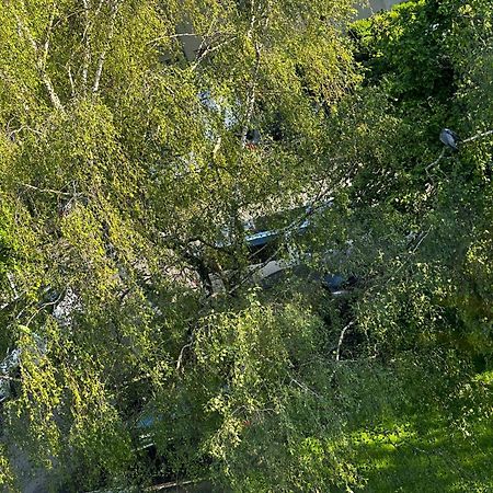 Joli, Spacieux, Lumineux Proche Paris Et Orly Villejuif Exterior foto